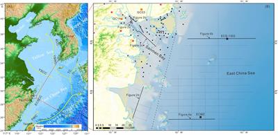 Mechanism and genesis of Sanmen Bay as a sink of Holocene Yangtze River sediment, Zhejiang Province, China